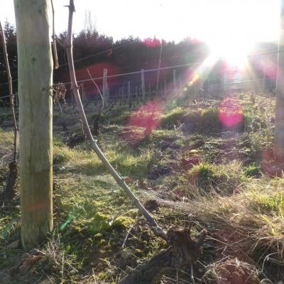 Belle journée d'hiver 2 